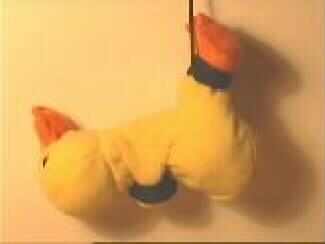 duckie